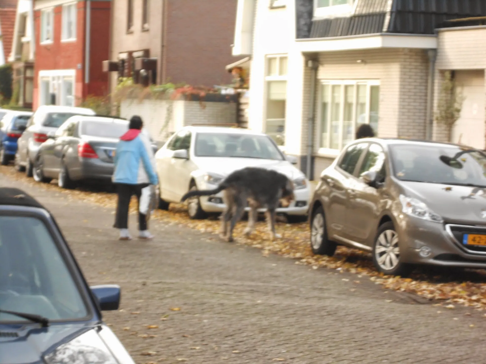 Amsterdam