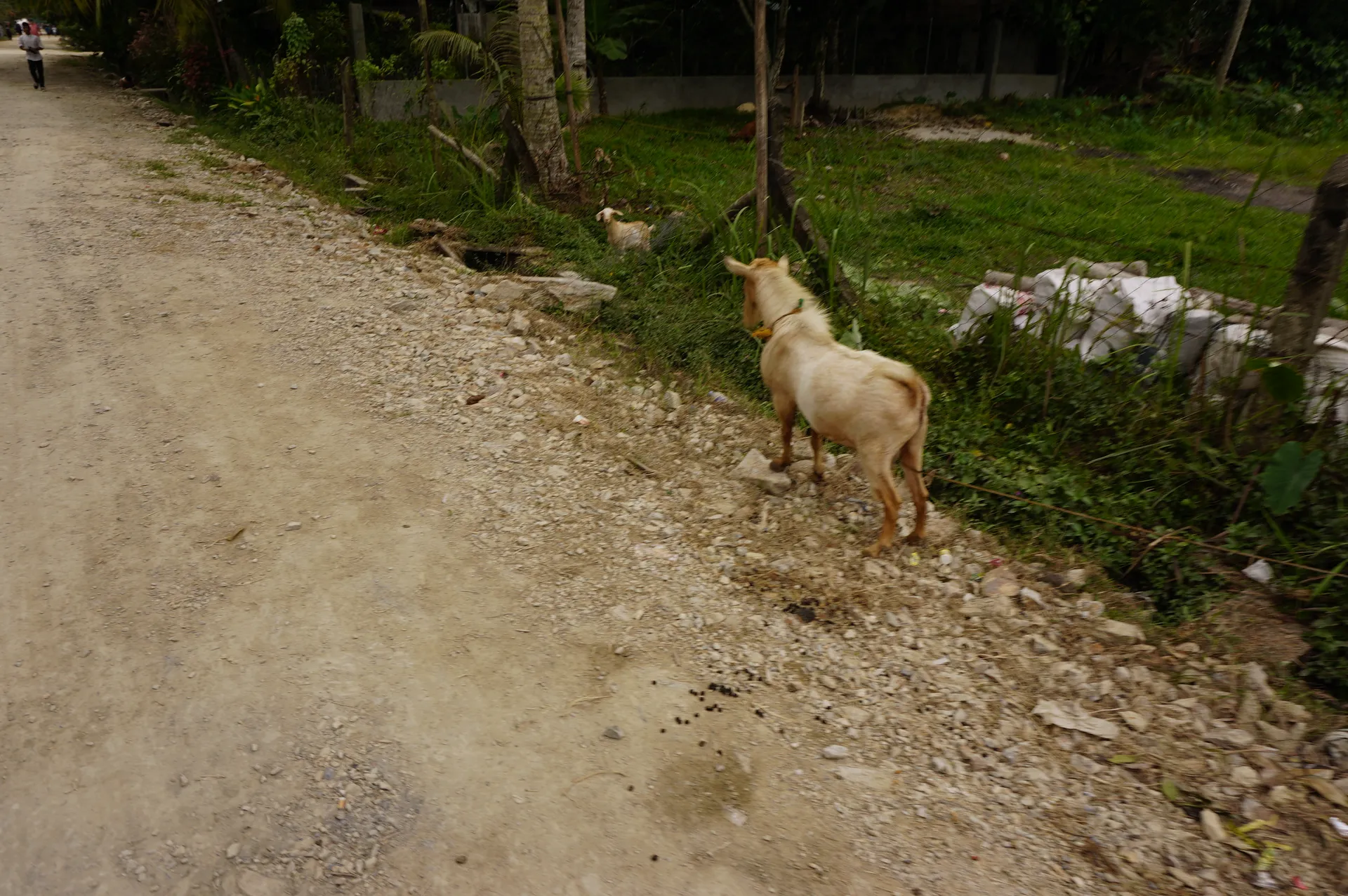 Filipiny