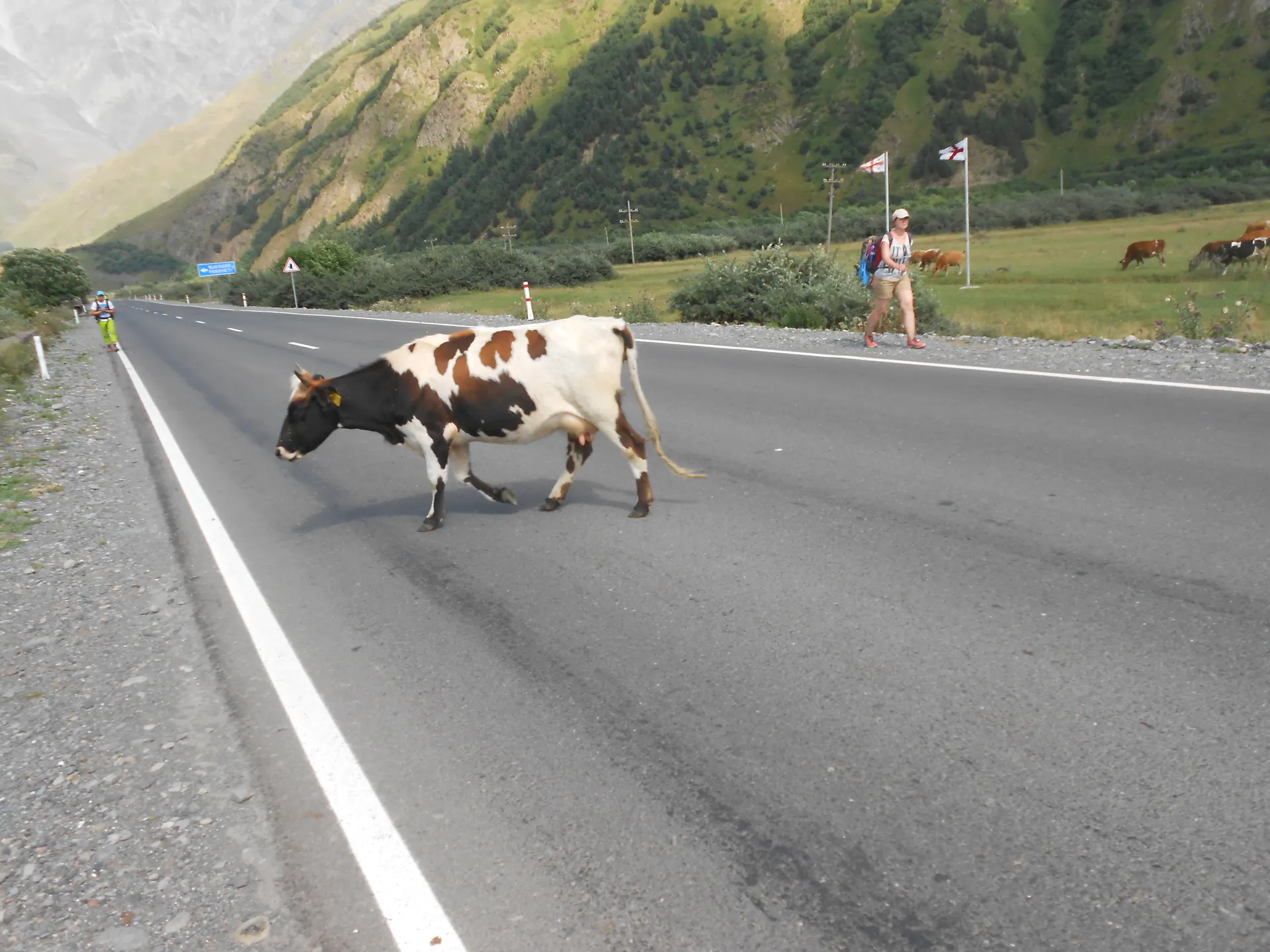 Gruzja