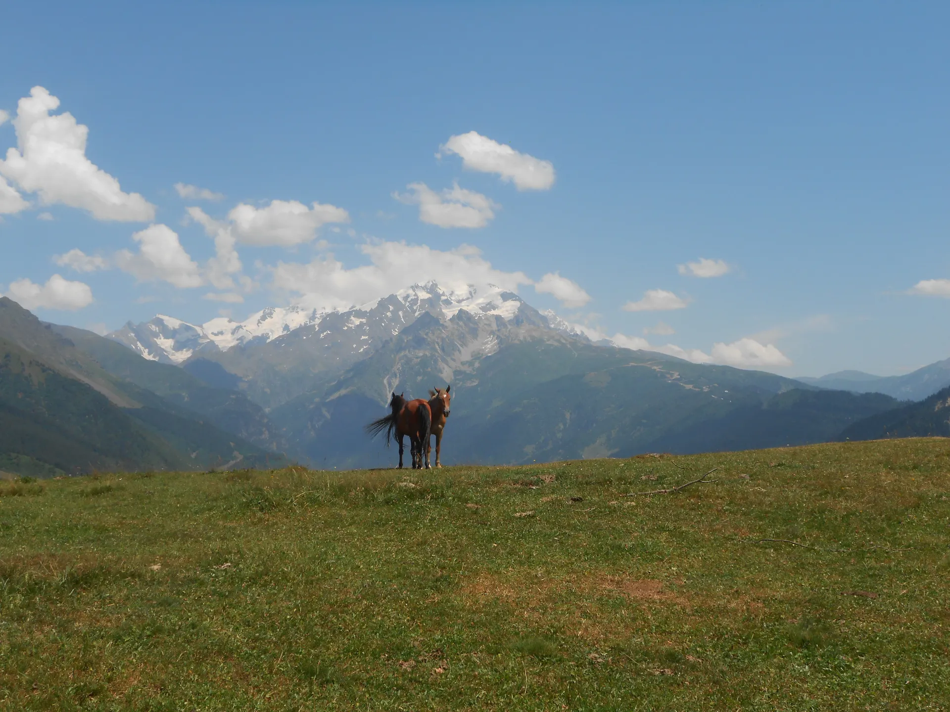 Gruzja