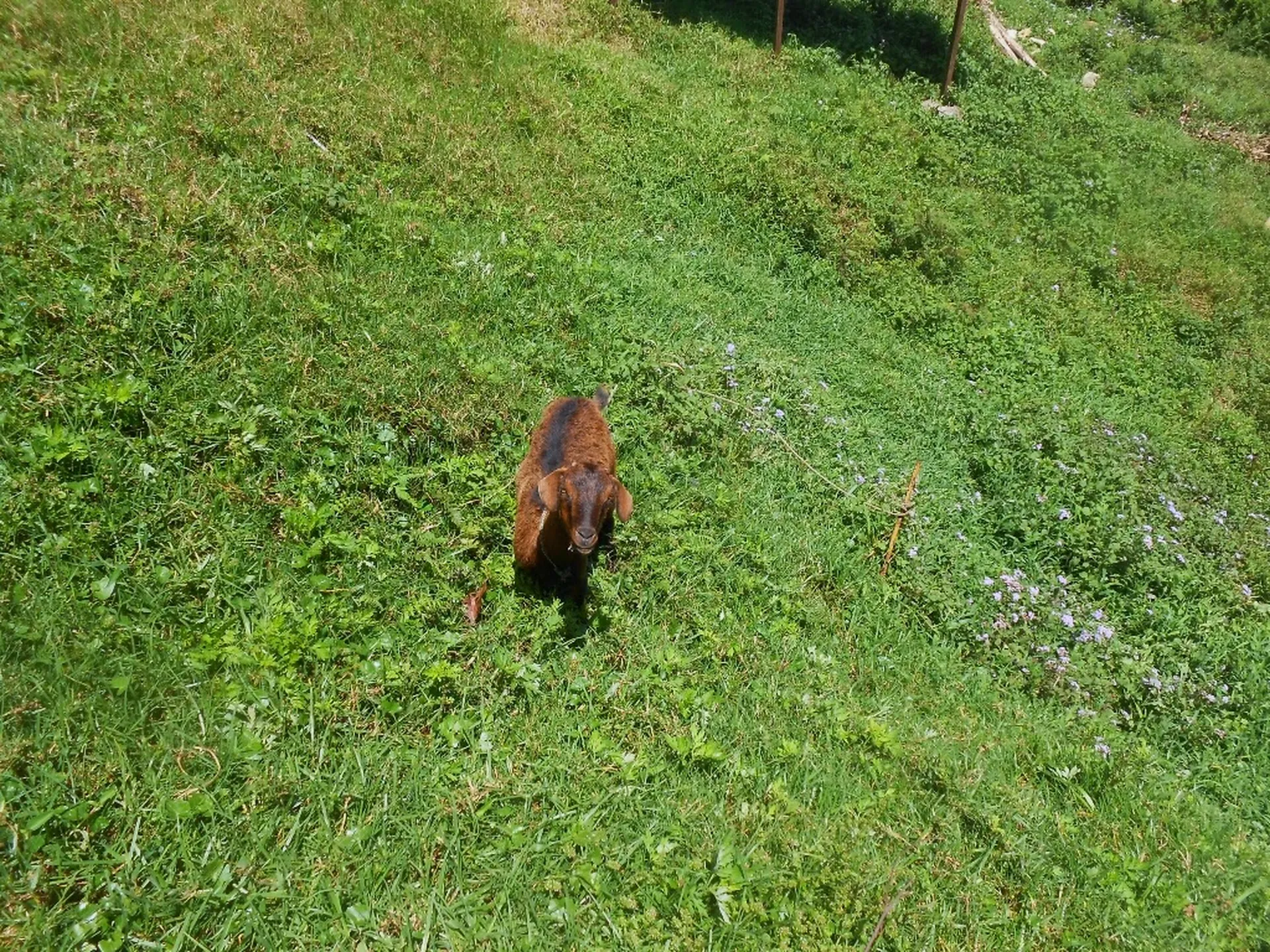 Malezja