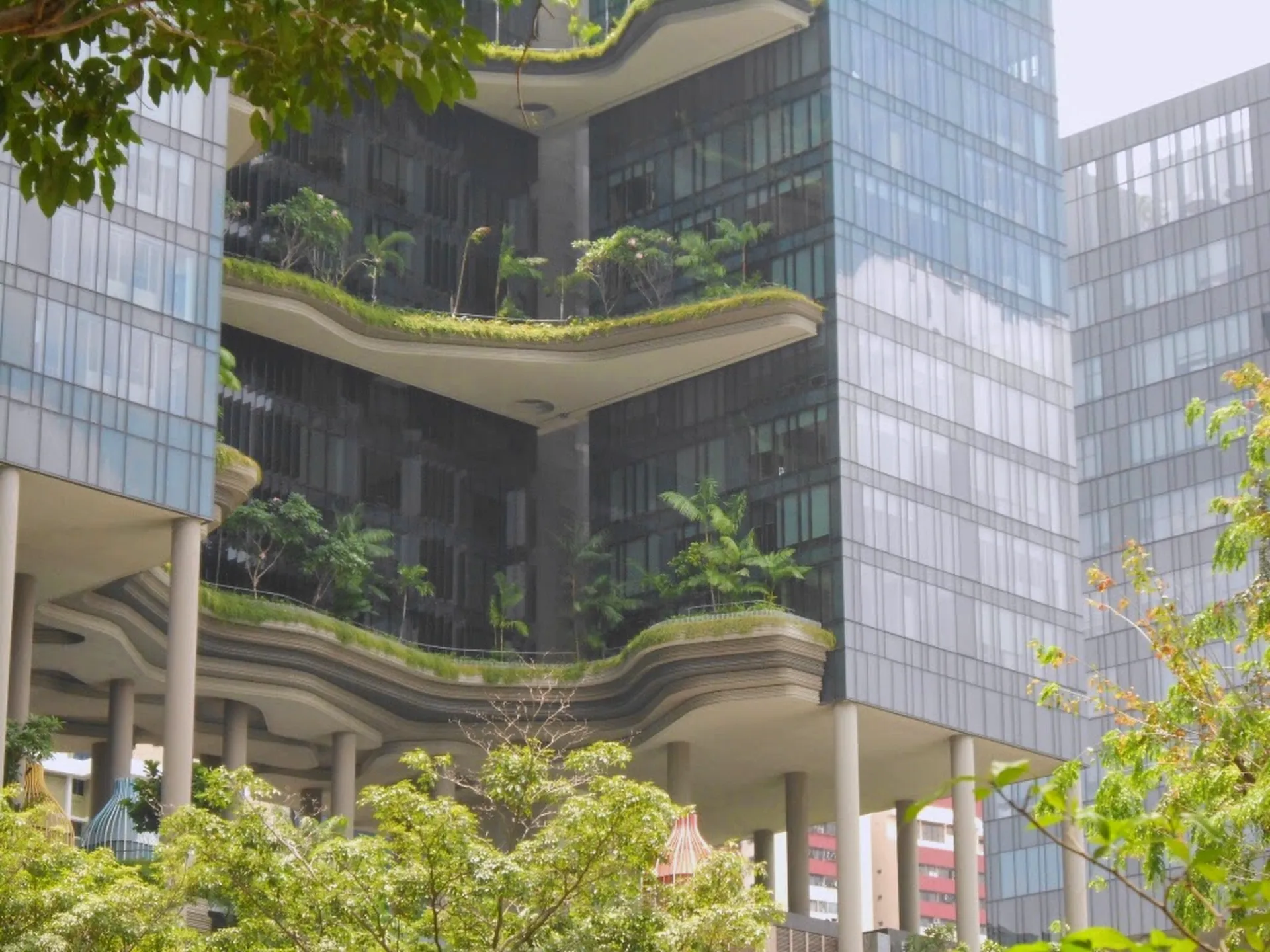 Singapur